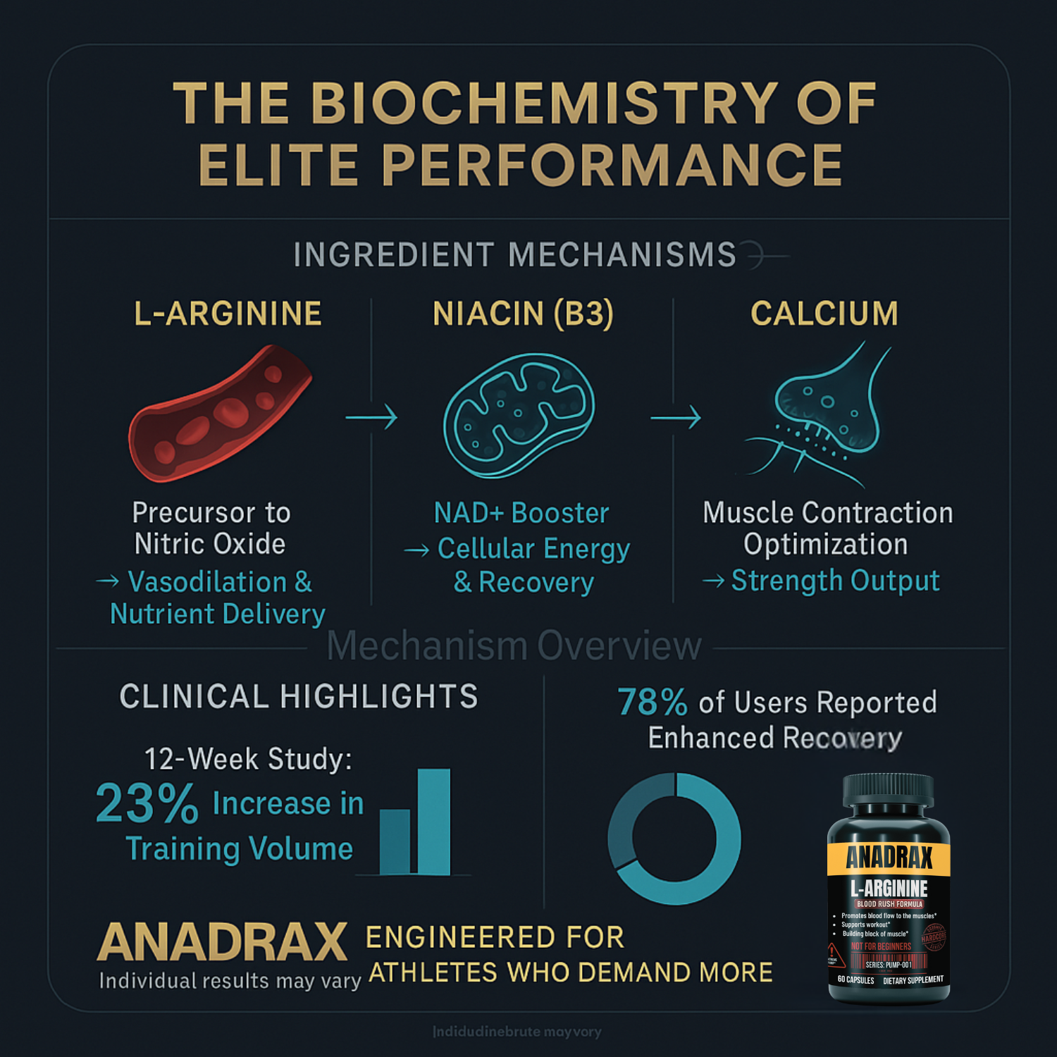 ANADRAX benefits infographic – improved blood circulation, stamina, and nitric oxide levels.