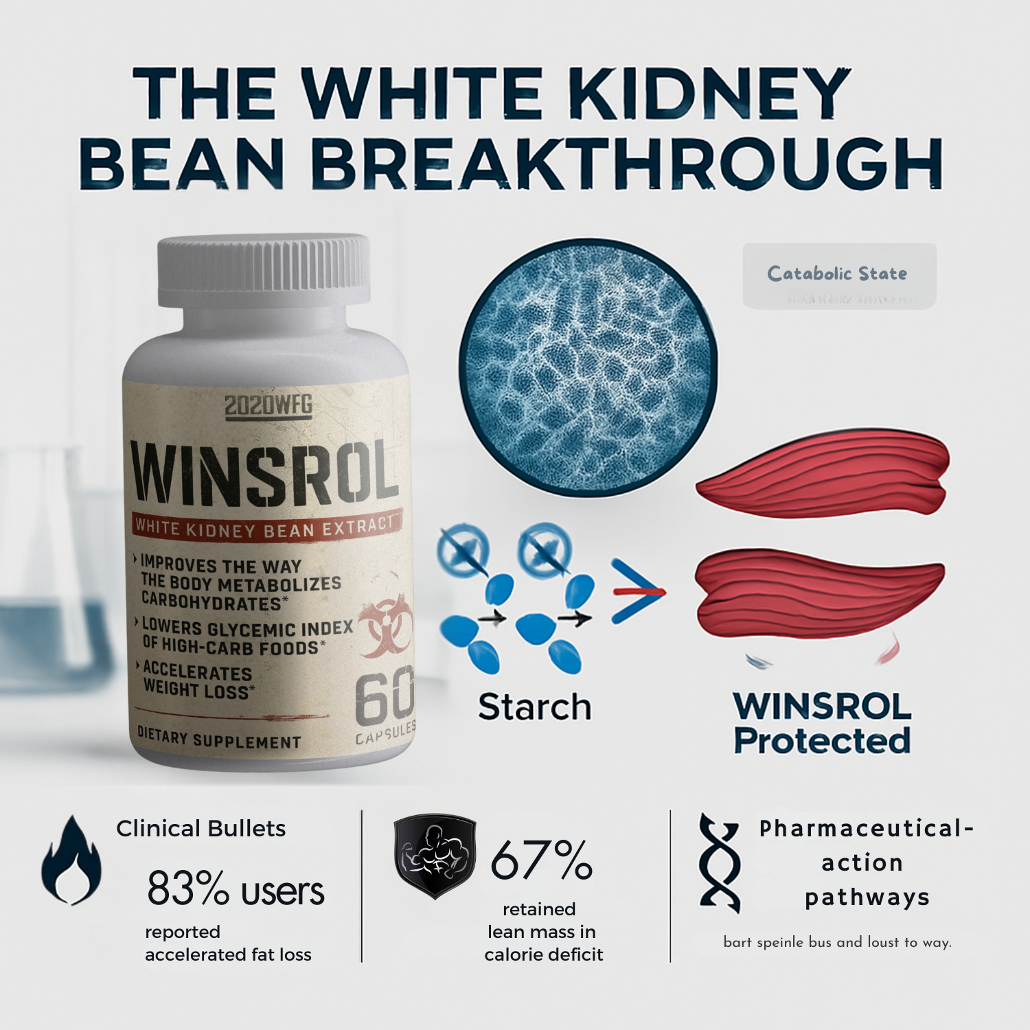 WINSROL infographic - how white kidney bean extract inhibits carbohydrate absorption for leaner physique.