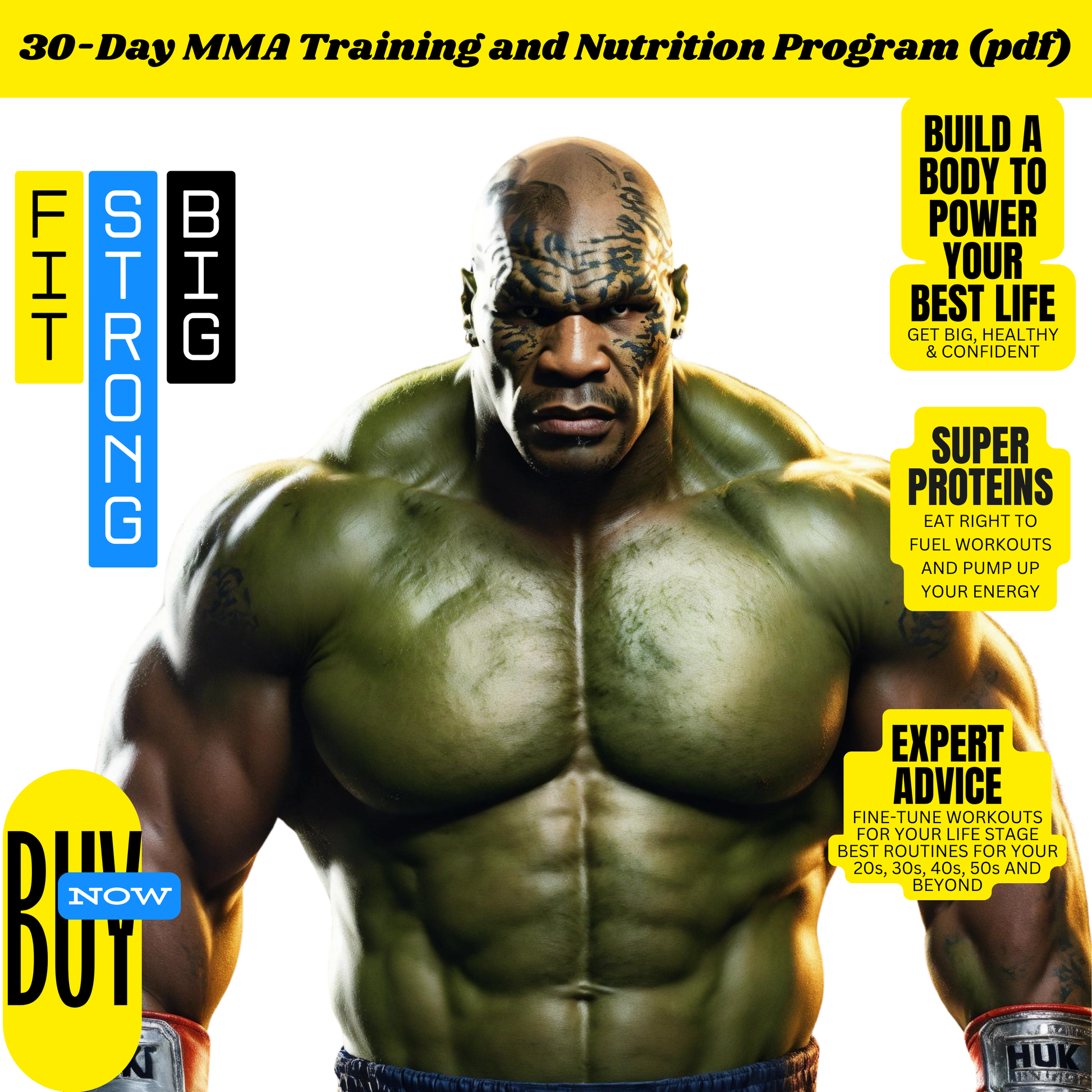 30-Day MMA Training and Nutrition Program (PDF)