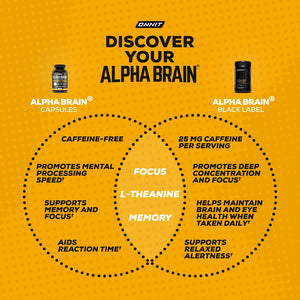 ONNIT Alpha Brain Nootropic Brain Supplement for Men & Women | Memory, Mental Clarity & Cognitive Improvement | Focus Capsules with L-Theanine, Vitamin B6 & Phosphatidylserine (90 Count)