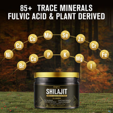 Shilajit product with trace minerals and fulvic acid elements displayed on a natural background.