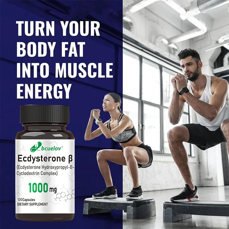 Ecdysterone Supplement – Daily Strength Enhancer, Muscle Mass Builder & Fat Metabolizer – 120 Capsules